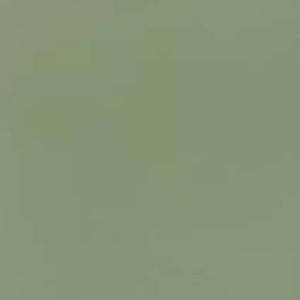 Meet your Posher, Ayla